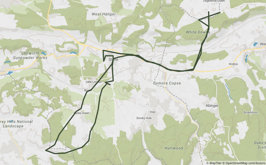 Map preview of the Ockley & Capel Lanes Loop